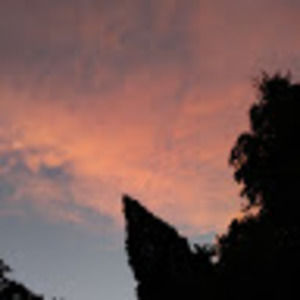 Meet your Posher, Peyton